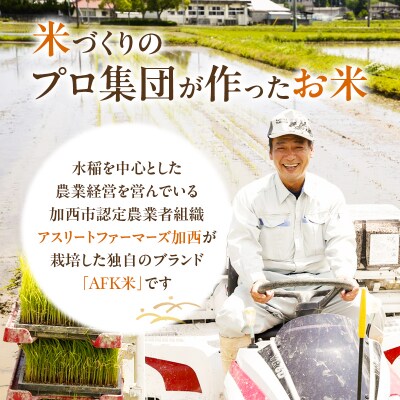 米 令和7年産 減農薬栽培米 キヌヒカリ 白米 10kg(5kg×2)[No5698-0614]