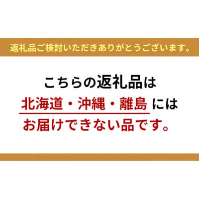 【令和7年産】シャインマスカット 2房 セット 約1.2～1.5kg  [No5698-0951]