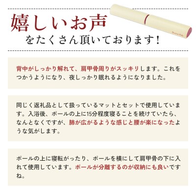 ドクターポール アサヒ軽金属 アサヒ ポール ストレッチ 姿勢 矯正 [No5698-0935]