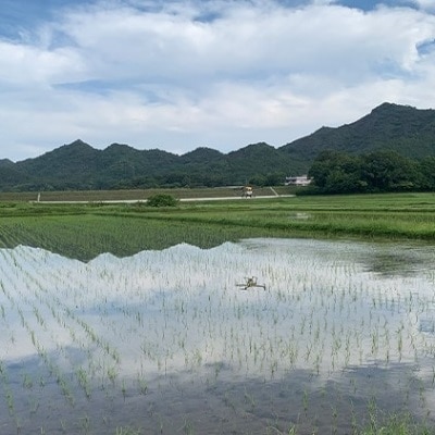 令和6年産 播州加西産 お米 食べ比べ 3種 福袋 2kg×3(計6kg)[No5698-0963]