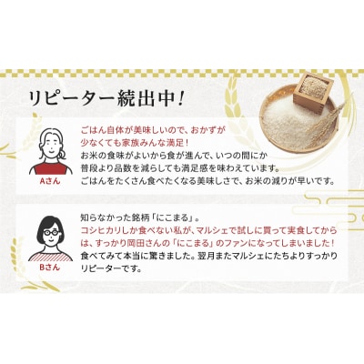【令和6年産新米予約受付】 特別栽培米 にこまる 白米5kg 東京米スター[No5698-0879]