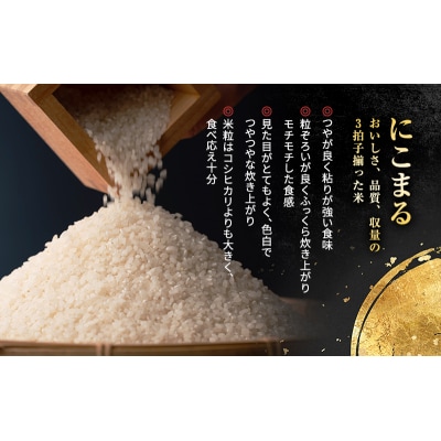 【令和6年産新米予約受付】 特別栽培米 にこまる 白米5kg 東京米スター[No5698-0879]