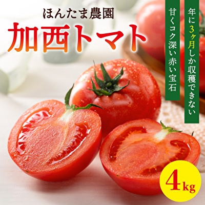 加西市産 ほんたま農園の大玉トマト 4kg(2kg&times;2箱)[No5698-0994]