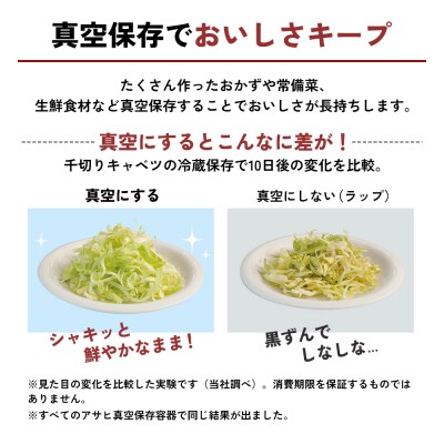 [ 真空フレッシュボックス L・2個セット ] 真空ポンプ付き ステンレス[No5698-1023]