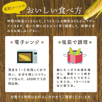 朝どれとうもろこし 5本 2kg 前後 2027年産 よしよし畑 農家直送[No5698-1035]