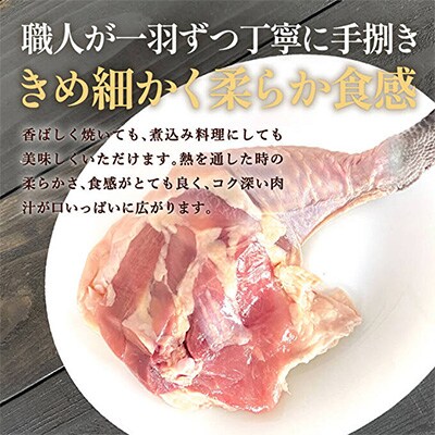 地鶏 丹波 黒どり 骨付きモモ 6本セット 国産 冷凍 BBQ クリスマス[No5698-1040]