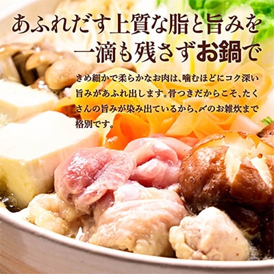 地鶏 丹波 黒鶏 丸ごと ぶつ切り 3kg (600g×5袋) 骨付き[No5698-1041]