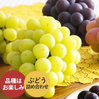 加西産ぶどう詰め合わせ【 果物 ぶどう フルーツ 葡萄 】[No5698-0386]