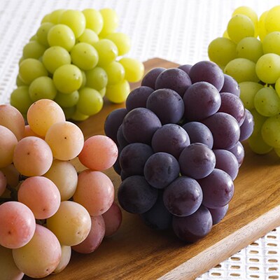 加西産ぶどう詰め合わせ【 果物 ぶどう フルーツ 葡萄 】[No5698-0386]