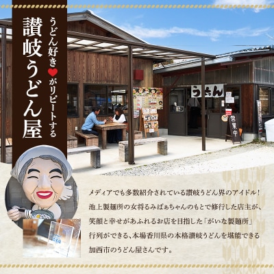 がいな製麺所 お食事券B おでかけ[No5698-1037]