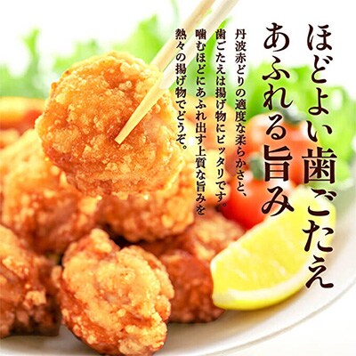 【お中元】地鶏 丹波 黒どり & 赤どり 切身 各500g 計4パック[No5698-1052]