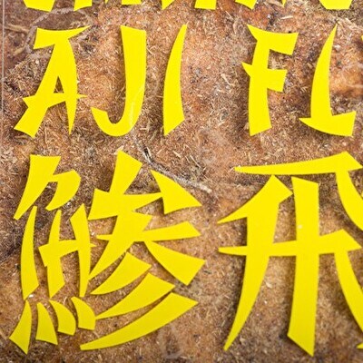 オリジナル煎餅『鯵飛煎餅』4袋[アジフライ せんべい コラボ ソース煎餅][No5698-1079]