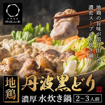 地鶏 丹波 黒どりブツ切り 水炊き セット 2～3人前[No5698-1092]