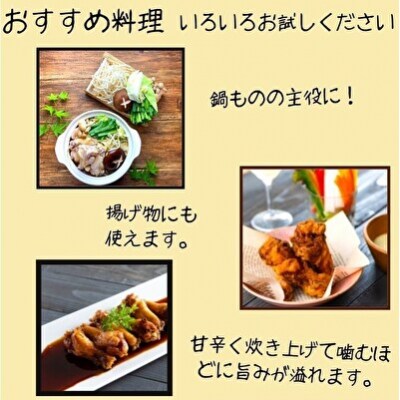 地鶏 丹波 黒どり 手羽元 4kg 鶏肉 冷凍 鍋 [No5698-1093]