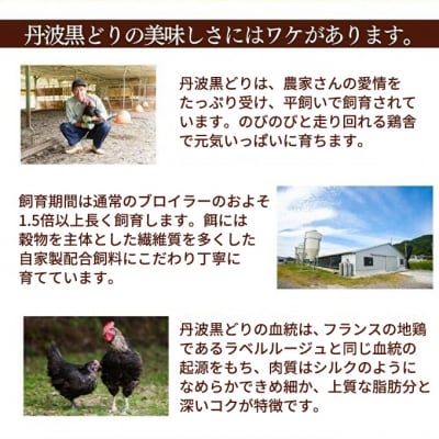 地鶏 丹波 黒どり 手羽元 4kg 鶏肉 冷凍 鍋 [No5698-1093]