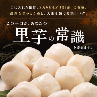 里芋 冷凍 小分け 絹里芋 220g 3パック 兵庫県産 野菜 根菜 粘り[No5698-1105]