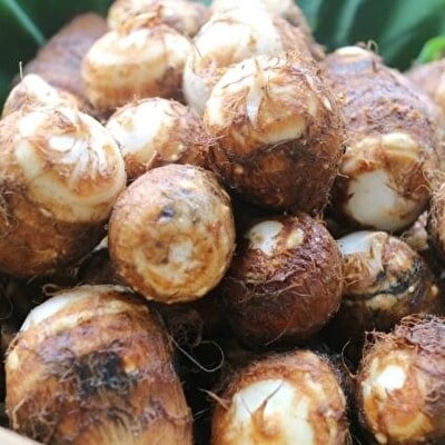 里芋 冷凍 小分け 絹里芋 220g 6パック 兵庫県産 野菜 根菜 粘り[No5698-1106]