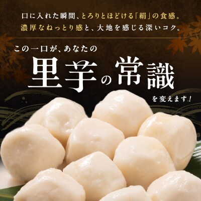 里芋 冷凍 小分け 絹里芋 220g 6パック 兵庫県産 野菜 根菜 粘り[No5698-1106]