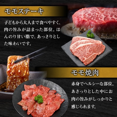 帝神 神戸牛 おまかせコース A 福袋 神戸ビーフ 詰め合わせ[No5698-1142]