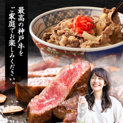 帝神 神戸牛 おまかせコース B 福袋 神戸ビーフ 詰め合わせ[No5698-1143]