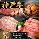 特別寄附額 帝神 神戸牛 おまかせコース C 福袋 神戸ビーフ詰め合わせ[No5698-1144]