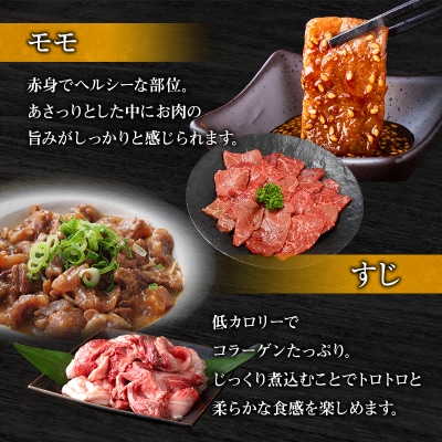帝神 神戸牛 おまかせコース E 福袋 神戸ビーフ 詰め合わせ[No5698-1146]