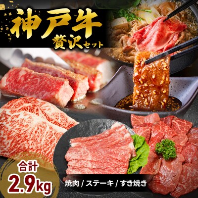 神戸牛 福袋 帝神 おまかせコース F  サーロインステーキ 肩スライス [No5698-1147]