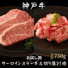 神戸牛 サーロインステーキ 切り落とし お試しセット 750g セット [No5698-1140]