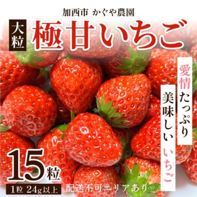 【令和7年産】 かぐや農園の極甘 いちご 大粒 15粒 果物 フルーツ [No5698-1191]