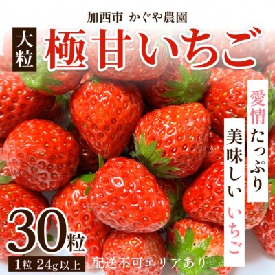 【令和7年産】 かぐや農園の極甘 いちご 大粒 30粒 果物 フルーツ [No5698-1192]