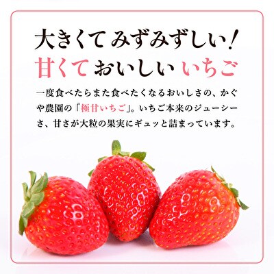 【令和7年産】 かぐや農園の極甘 いちご 大粒 30粒 果物 フルーツ [No5698-1192]