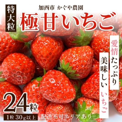 【令和7年産】 かぐや農園の極甘 いちご 特大粒 24粒 果物 フルーツ [No5698-1194]