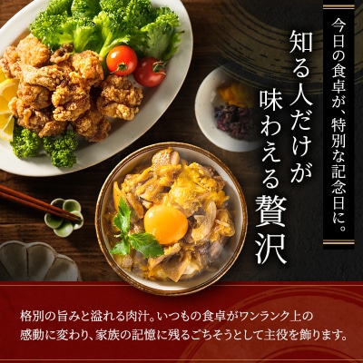 期間限定 地鶏 丹波黒どり モモ肉 4kg(2kg×2袋)冷凍[No5698-1239]