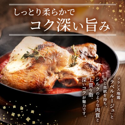 訳あり 鶏肉 地鶏 丹波 黒鶏 モモ肉 4kg(2kg×2) 数量限定 [No5698-1239]