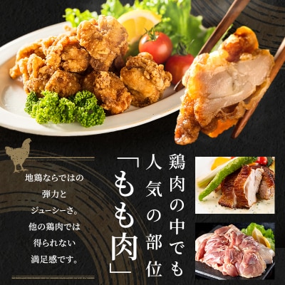 期間限定 地鶏 丹波黒どり モモ肉 4kg(2kg×2袋)冷凍[No5698-1239]