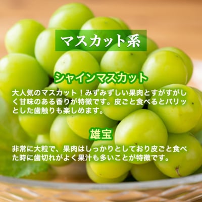 【令和7年産】ぶどう 2種類 セット 品種おまかせ 2kg 3～4房入 [No5698-1271]