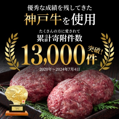 神戸牛 ハンバーグ 100g×10個  神戸ビーフ 国産 普段使い 肉 [No5698-1275]