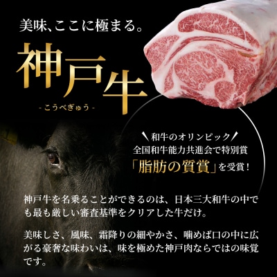 神戸牛 ハンバーグ 100g×10個  神戸ビーフ 国産 普段使い 肉 [No5698-1275]