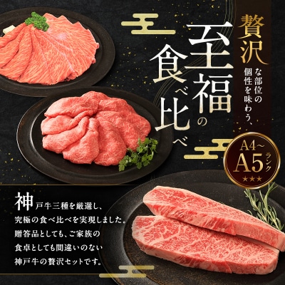 期間限定寄附額 神戸牛 贅沢セットA 計1.1kg イチボステーキ [No5698-1277]