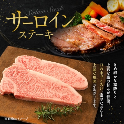 神戸牛 贅沢セットB 計700g ローススライス ももスライス [No5698-1278]