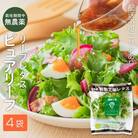 レタス ピュアリーフ 4個入り  リーフレタス 栽培期間中 無農薬 [No5698-1308]