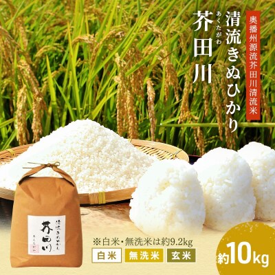 無洗米 【令和7年産】 キヌヒカリ 約9.2kg [ 無洗米 ] 精米 [No5698-7829]