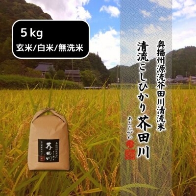 米 【令和5年産新米】 コシヒカリ 10kg (5kg×2)[玄米][No5698-7830