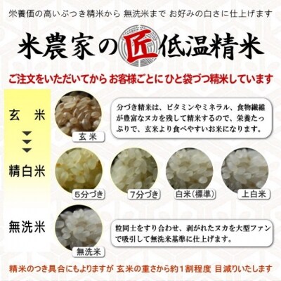 白米 【令和7年産】 ヒノヒカリ 10kg [ 白米 ] 精米 [No5698-7837]