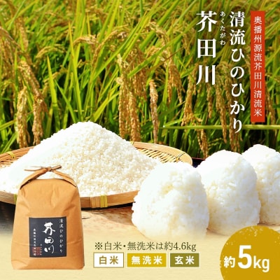 玄米 【令和7年産】ヒノヒカリ 5kg [玄米] 精米 奥播州源流[No5698-7839]