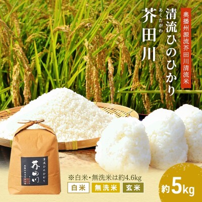 白米 【令和7年産】ヒノヒカリ 5kg [白米] 精米 奥播州源流[No5698-7840]