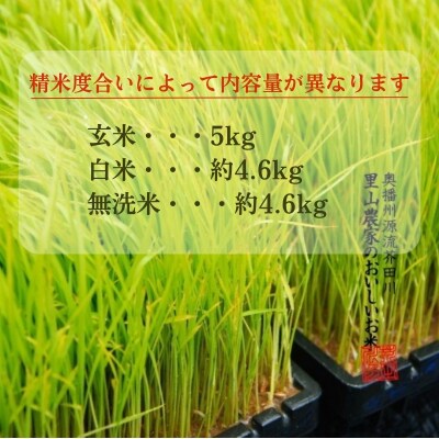 白米 【令和7年産】ヒノヒカリ 5kg [白米] 精米 奥播州源流[No5698-7840]