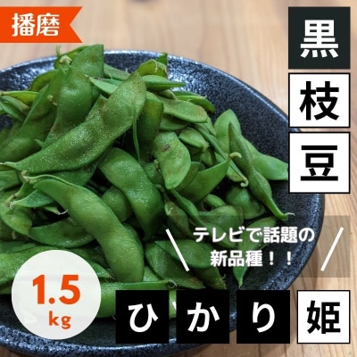 【テレビで話題!】兵庫の新品種黒枝豆 ひかり姫 兵庫県 万願寺産1.5kg[No5698-1338]