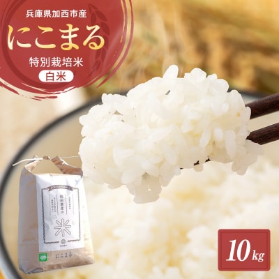 【令和6年産新米予約受付】 特別栽培米 にこまる 白米10kg [No5698-1309]