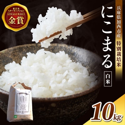 令和7年産 特別栽培米 にこまる 白米10kg [No5698-1309]